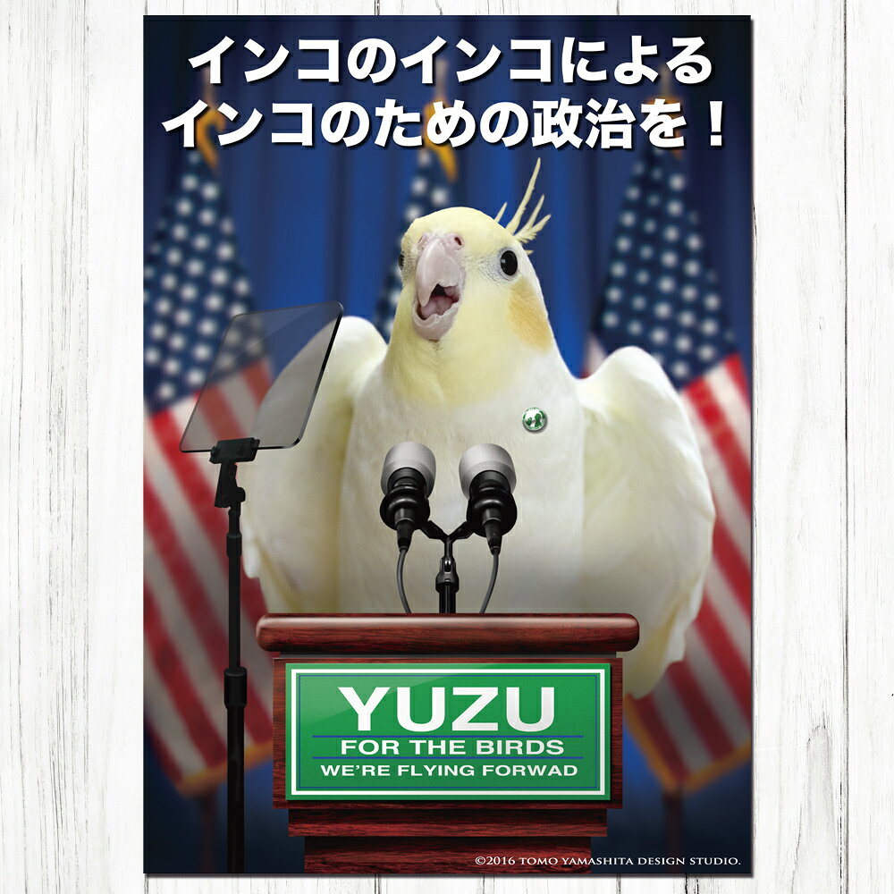 TOMO YAMASHITA DESIGN STUDIO. B3ポスター インコ党3 3枚セット 195A0253 BIRDMOR...