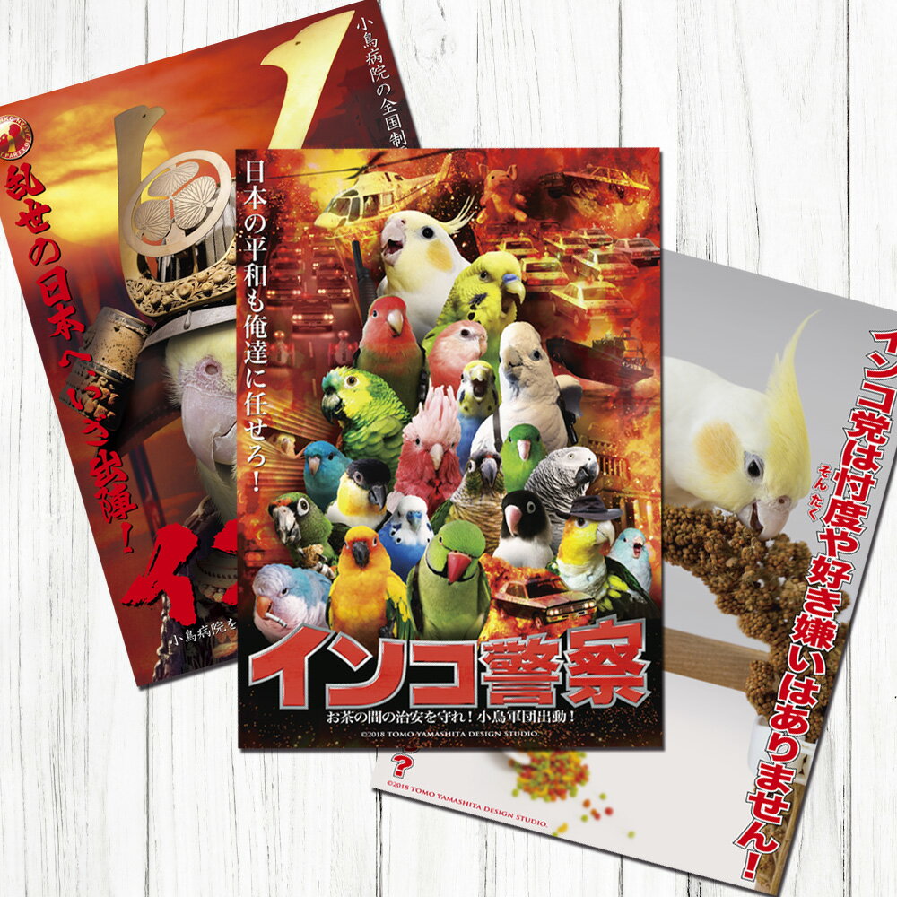 TOMO YAMASHITA DESIGN STUDIO. B3ポスター インコ党4 3枚セット 195A0316 BIRDMORE バードモア CRAFT G...
