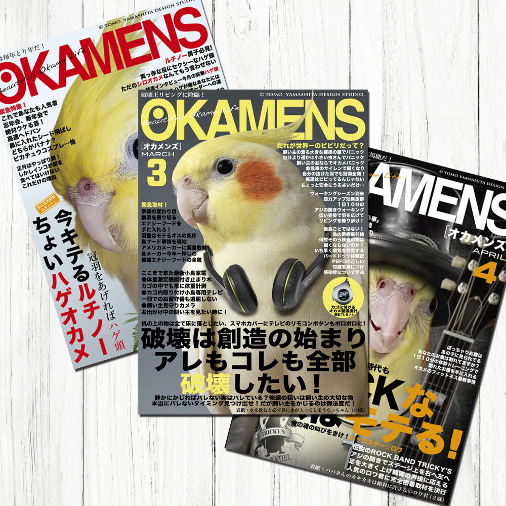 TOMO YAMASHITA DESIGN STUDIO. B3ポスター 雑誌シリーズ4 3枚セット 195A0317 BIRDMORE バードモア CRAF...