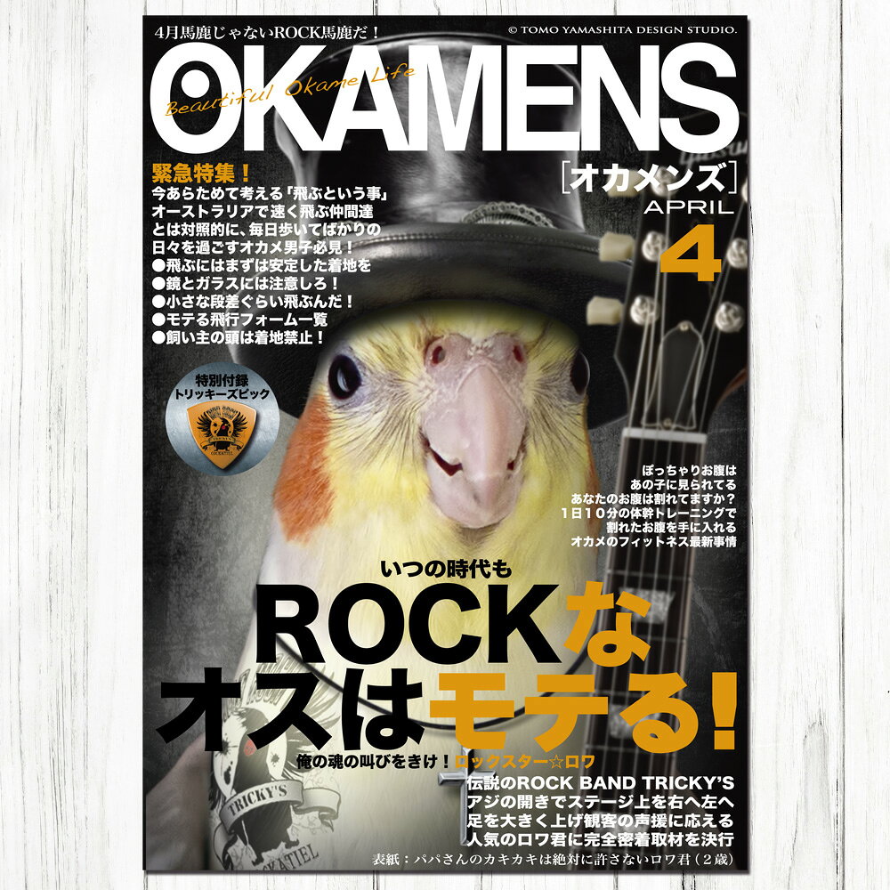 飼鳥用品専門店BIRDMORE楽天市場店のTOMO YAMASHITA DESIGN STUDIO. B3ポスター 雑誌シリーズ4　 3枚セット 195A0317 BIRDMORE バードモア CRAFT GARDEN 鳥用品 鳥グッズ 雑貨 鳥 とり プレゼント｜アングル2