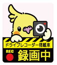 ゆとり屋 ドライブレコーダー ステッカー オカメインコ ルチノー ネコポス対応 可能 BIRDMORE バードモア 鳥用品 鳥グッズ 雑貨 グッズ 鳥 とり ...