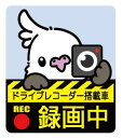 ゆとり屋 ドライブレコーダー ステッカー オカメインコ ホワイトフェイス ネコポス 対応可能 ( BIRDMORE バードモア 鳥用品 鳥グッズ 雑貨 グッズ 鳥 とり トリ インコ ドラレコ プレゼント )