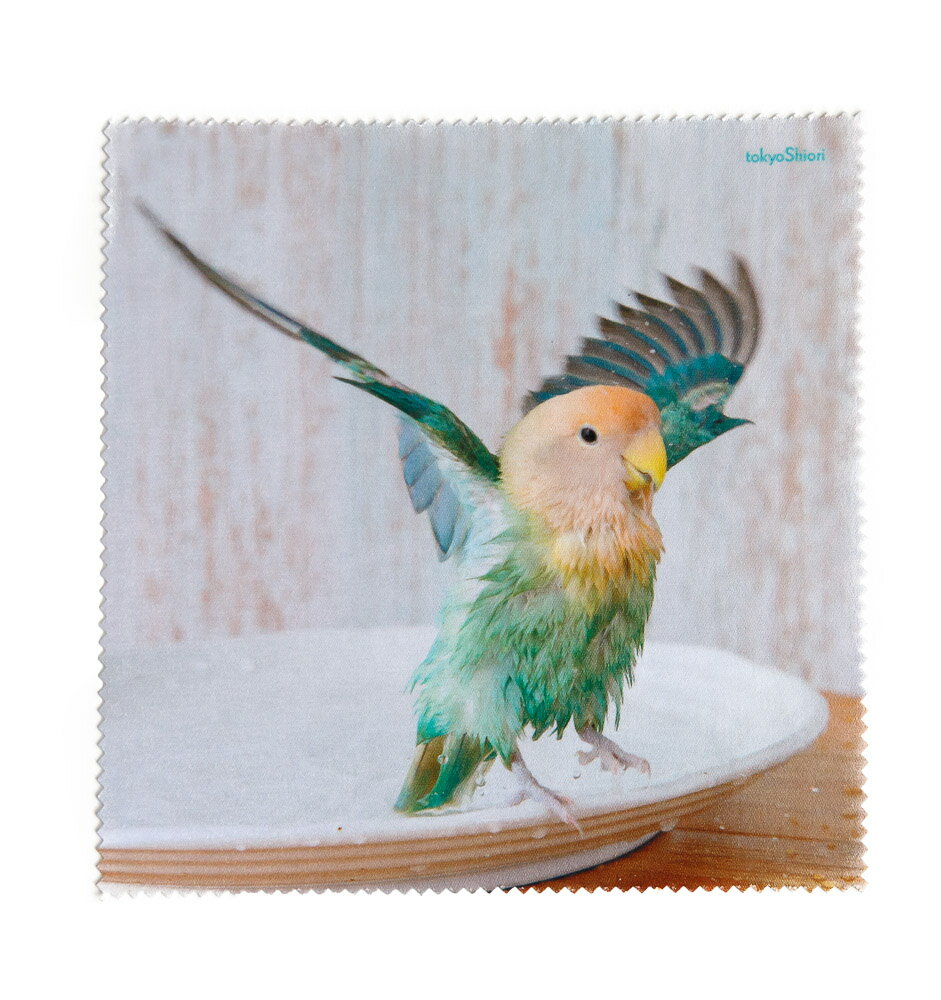 tokyoShiori 眼鏡拭き7（大） コザクラインコ 245A0273　ネコポス 対応可能　BIRDMORE バードモア CRAFT GARDEN 鳥用品 鳥グッズ 雑貨 グッズ