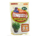 1000円ぽっきり♪ 送料込み アラタ 小鳥用 若葉栽培 セット 9993347 BIRDMORE バードモア 鳥 とり トリ 餌 えさ エサ フード ごはん ...