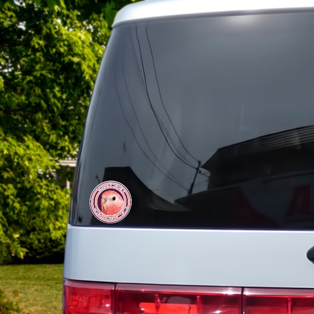 TOMO YAMASHITA DESIGN STUDIO. ���äƤޤ����ƥå����������������󥳡�195A0438�� �ͥ��ݥ� �б���ǽ��BIRDMORE �С��ɥ⥢ Ļ���� Ļ���å� ���� ���å� Ļ �Ȥ� �ȥ� ���� �ץ쥼���