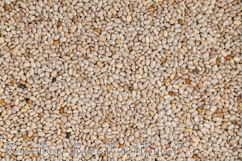 クロセ チアシード 30g ネコポス 対応可能 BIRDMORE バードモア鳥 とり トリ 餌 え...