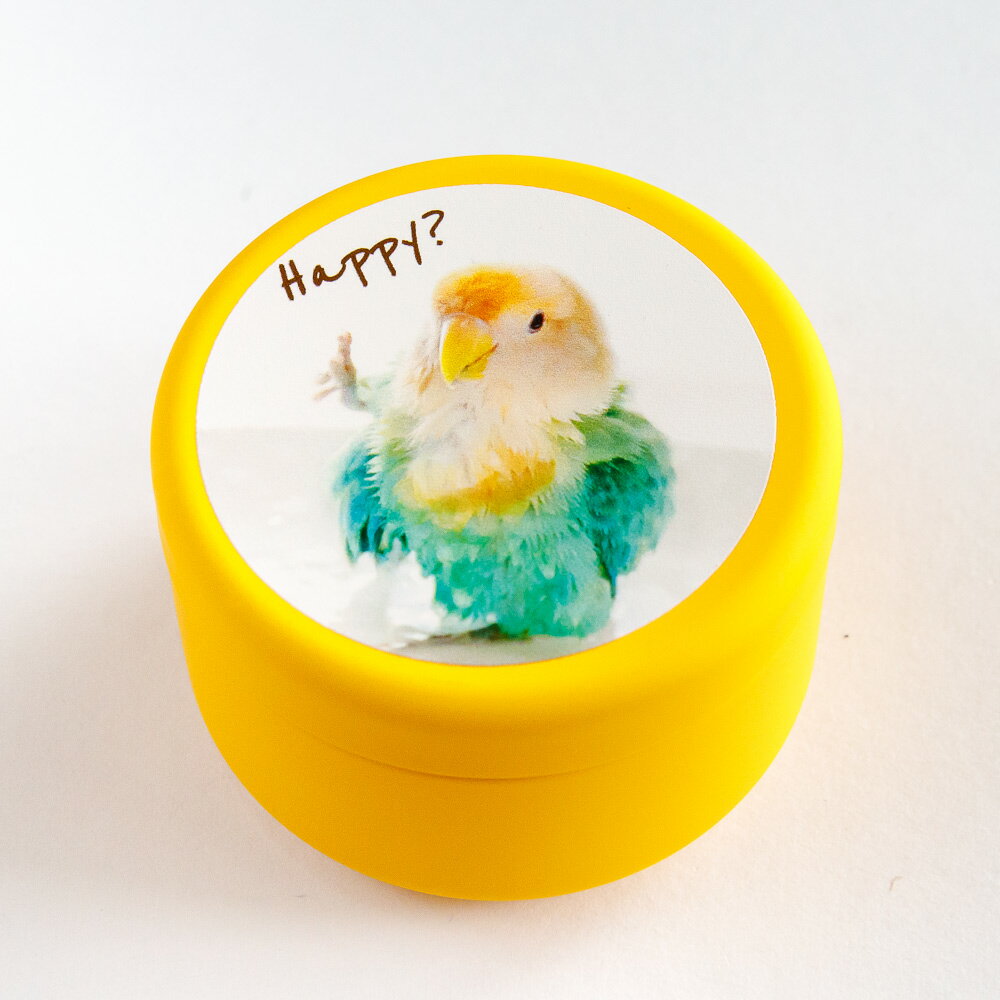 tokyoShiori ミニ缶小物入れ黄色 コザクラインコ 245A0277　BIRDMORE バードモア CRAFT GARDEN 鳥用品 鳥グッズ 雑貨 グッズ