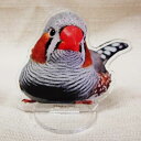 だが屋 アクリルスタンド キンカチョウ 083A0326 ネコポス 対応可能 BIRDMORE バードモア CRAFT GARDEN 鳥用品 鳥グッズ 雑貨 鳥...