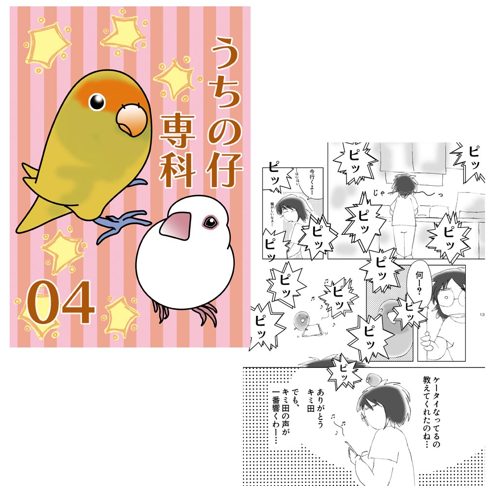 まぢかるどりぃまぁ うちの仔専科04・ポチ袋付 053A0267 ネコポス対応 BIRDMORE バードモア CRAFT GARDEN 鳥グッズ 鳥用品 雑貨 ...