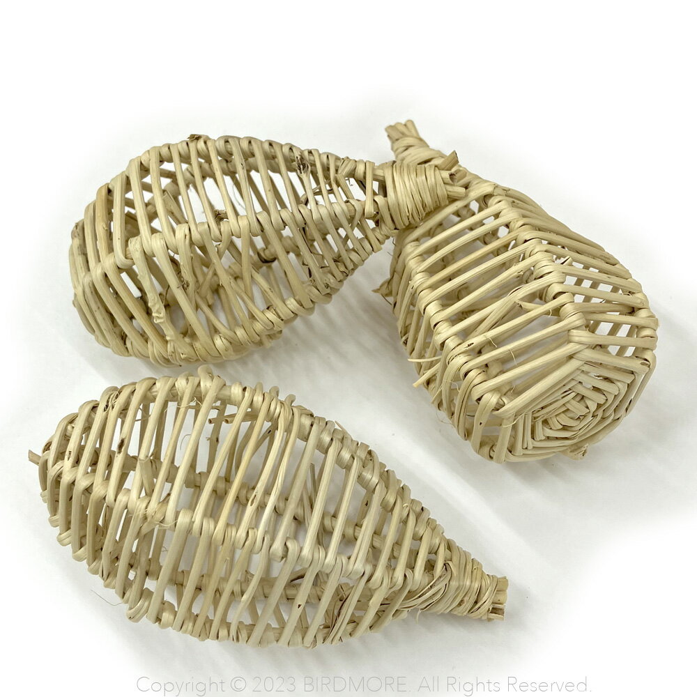 BTP Vine Bulb ( 1 ) 9998969BIRDMORE Сɥ⥢ Ļ Ļå  Ļ Ȥ  ڤ ...