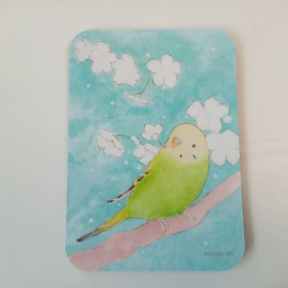 momo chi ★マウスパッド セキセイ 078A0293 ネコポス 対応可能 BIRDMORE バードモア CRAFT GARDEN 鳥用品 鳥グッズ 雑貨