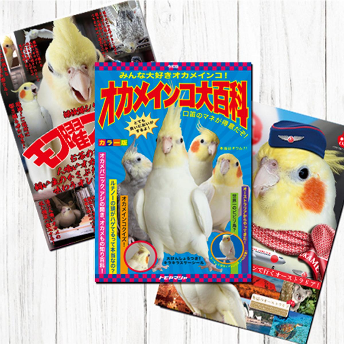 TOMO YAMASHITA DESIGN STUDIO. B3ポスター 3枚セット 雑誌シリーズVol.6 195A0473 BIRDMORE バードモア C...