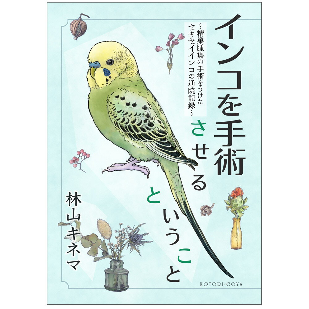 ことり御屋 書籍 セキセイインコ 「 インコを手術させるということ 」 234A0283 ネコポス 対応可能 BIRDMORE CRAFT GARDEN バー...