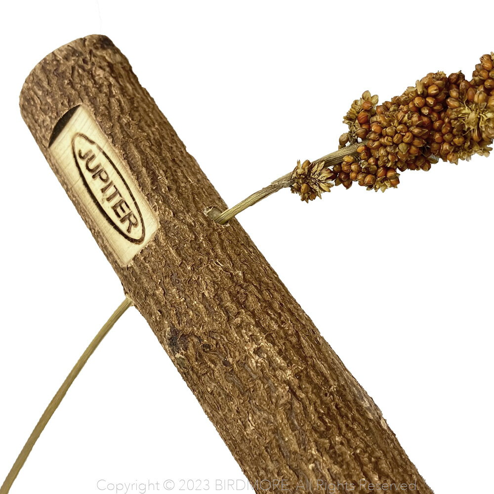 ���� �ߤޤ��� �Ȥޤ��� ���磻 �椬������ �ˡ���ѡ��� ������ 9999214���ʻߤޤ��ڤΤߡ��������°���Ƥ���ޤ��󡣡ˡ�BIRDMORE �С��ɥ⥢