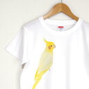 オカメインコ (ルチノー) p-jet Tシャツ BIRDMORE バードモア 鳥用品 鳥グッズ 雑貨 グッズ 鳥 とり トリ インコ