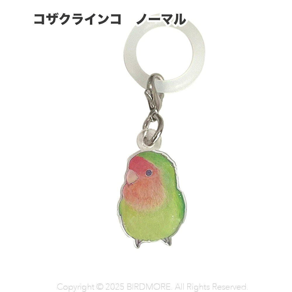 Rakuten - aoamo アンブレラマーカー　コザクラインコ ノーマル　ネコポス対応可能　BIRDMORE　バードモア
