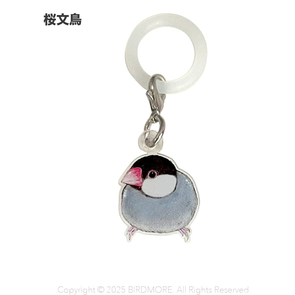 Rakuten - aoamo アンブレラマーカー　桜文鳥　ネコポス対応可能　BIRDMORE　バードモア　ぶんちょう　ブンチョウ フィンチ