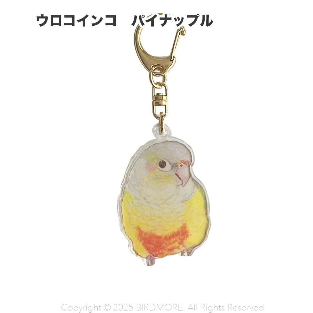 楽天市場】ウロコインコ（日用品雑貨・文房具・手芸）の通販