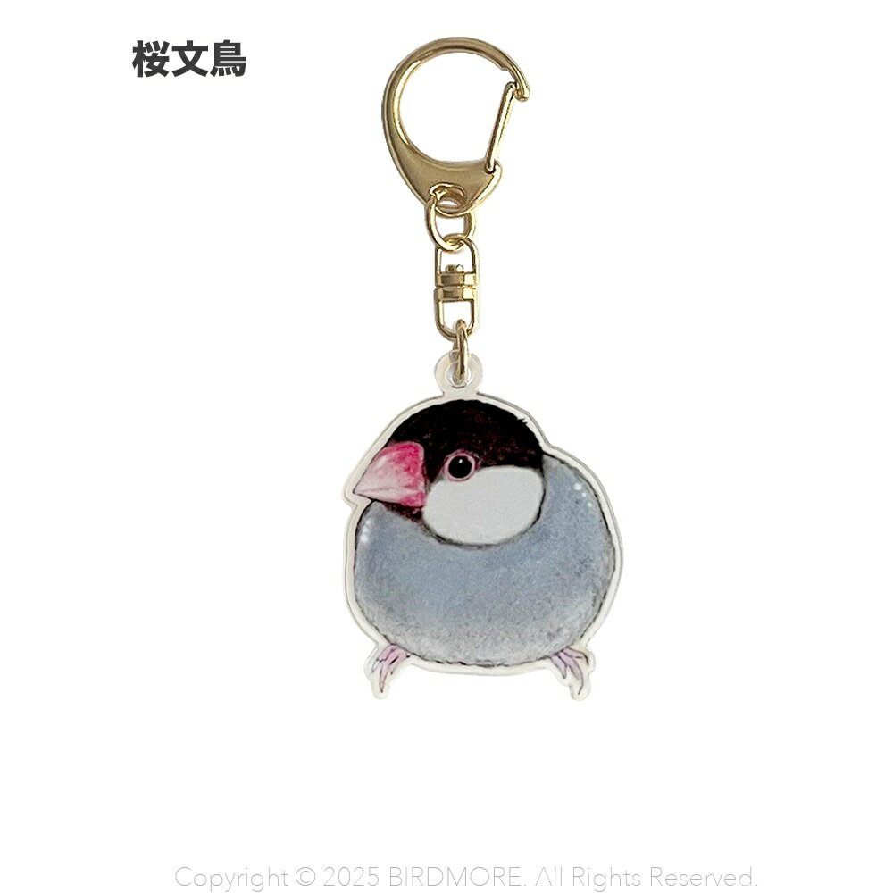 Rakuten - aoamo アクリル キーホルダー　桜文鳥 ネコポス対応可能 BIRDMORE　バードモア