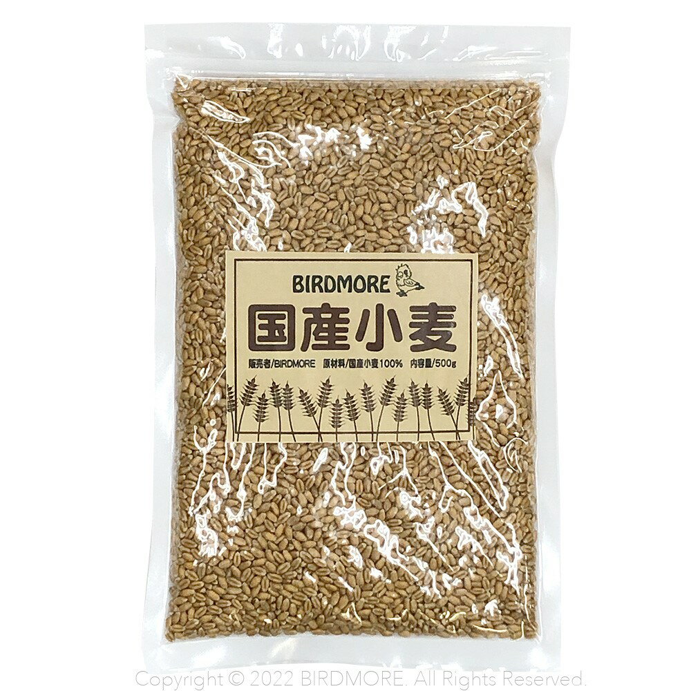 Rakuten - 国産 小麦　500g BIRDMORE　バードモア インコ　ごはん