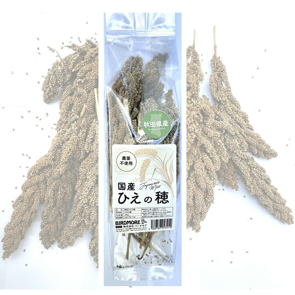 インコ エサ 国産 ( 秋田県産 ) ひえの穂 農薬不使用 100g 9999563 BIRDMORE バードモア 鳥用品