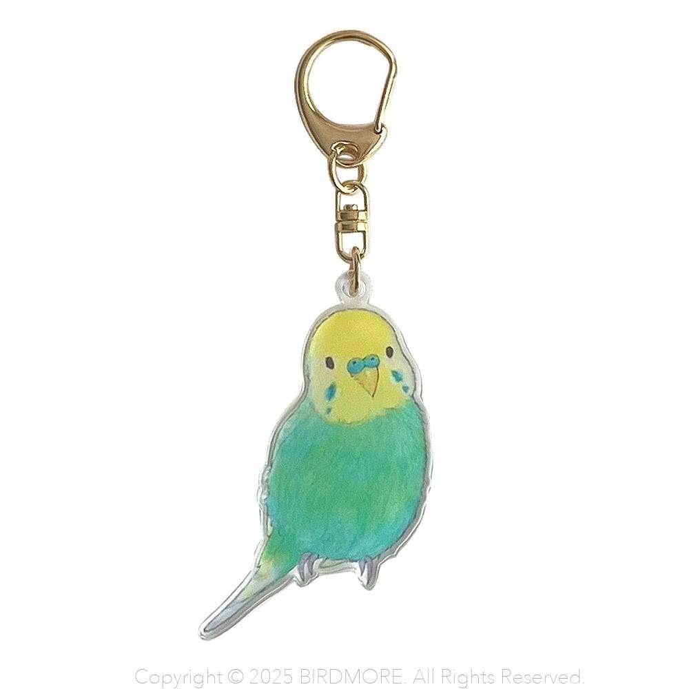 Rakuten - aoamo アクリル キーホルダー　セキセイインコ レインボー ネコポス対応可能 BIRDMORE　バードモア