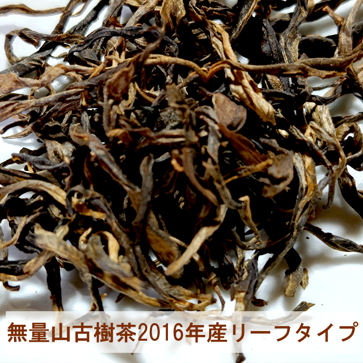 お試し 無量山 古樹茶 25g プーアル