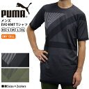 プーマ メンズ トップス トレーニング PUMA 573362 半袖 Tシャツ EVOKNIT | スポーツウェア ランニング ジム フィットネス ランニング アウトドア