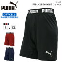 プーマ メンズ ボトムス サッカー PUMA FTBLNXT 655568 ショートパンツ EVOKNIT DRYCELL スポーツウェア トレーニング ジム ランニング フィットネス アウトドア