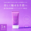 エクソソームの力で美しい手指へ!ヒト幹細胞 |ハンドクリーム【セルコード ハンドクリーム エクソリッチ(50g) 5個セット 無香料 】手肌の乾燥・年齢肌対策!...