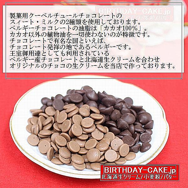 半解凍で美味しい/生チョコ飾り/ショコラデコレーション9号/北海道純生クリーム100%/ベルギー産チョコ100%/北海道小麦100%/タヒチ産バニラ/バースデーケーキ9号(室温または冷蔵庫で半解凍でも美味しくお召し上がりいただけます。)
