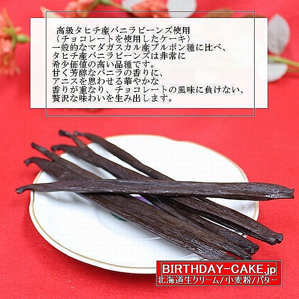 NEW :�С����ǡ������� ������������ ���祳�졼�ȥ����� 8�� ǻ�����祳�� �����祳���� Ⱦ����Ǥ���̣����