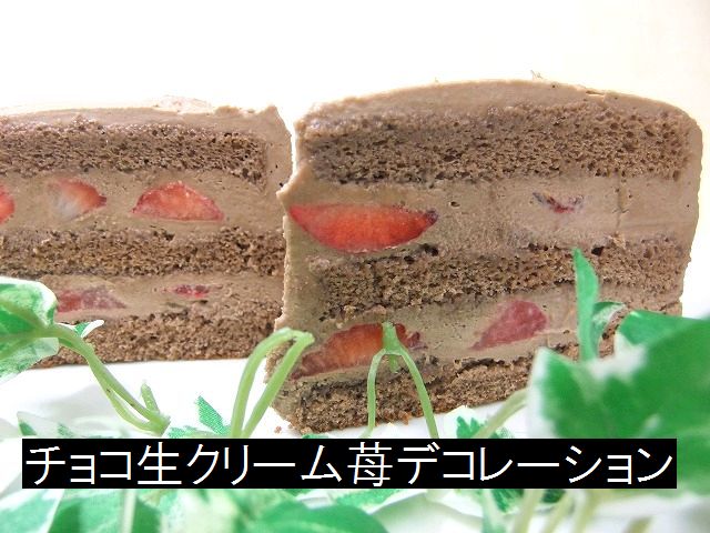 きかんしゃトーマス・チョコ生クリーム/苺2段サンド・キャラデコお祝いケーキ