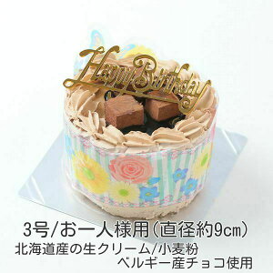 生チョコ飾り/ショコラデコレーションケーキ3号（直径約9cm）バースデーケーキ3号/お誕生日ケーキ