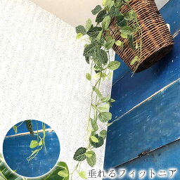 【フェイクグリーン おしゃれ】垂れるフィットニア ■ インテリア 観葉植物 デコレーション 模様替え 癒し プレゼント ギフト 引越し 一人暮らし お祝い オシャレ お洒落 かわいい 可愛い いなざうるす屋