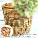 【フェイクグリーン おしゃれ】アラログ鉢カバーM ■ インテリア 観葉植物 デコレーション 模様替え 癒し プレゼント ギフト 引越し 一人暮らし お祝い オシ...