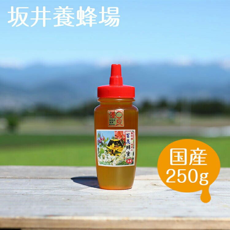 【レビュー特典】【はちみつ 国産 百花蜜】百花蜂蜜250g【H250/坂井養蜂場】ハチミツ ハニー スイーツ 抗菌作用 蜂 養蜂 養蜂場 甘味 花 ビタミン ミネラル パンケーキ