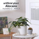 【インテリア フェイクグリーン おしゃれ】アロカシア セラミックポット【送料無料】観葉植物 デコレーション 模様替え 癒し プレゼント ギフト 引越し 一人暮ら...