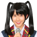 コスプレ かつら カツランド 黒髪ツインテール ■ 宴会 年末 年始 正月 ハロウィン パーティー コスチューム 衣装 忘年会 店舗 演劇 小物 イベント 販促...