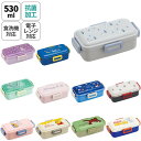 お弁当箱 抗菌ふわっと弁当箱 【オラフ/ラプンツェルフラワー/ピーター・パン/ティンカーベル/ヤングオイスター/モアナ/ミッキーマウス/プーコスチューム/プーファニーフェイス/ズートピア ニック/ドナルドダック】【PFLB6AG】 ランチボックス 幼稚園 保育園 スケーター(3)