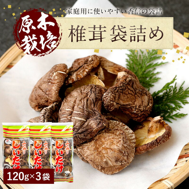 大分県産 椎茸 袋詰め 120g×3袋 【メーカー直送品】 しいたけ 干ししいたけ 乾しいたけ 乾燥椎茸 乾椎茸 香信 原木栽培 小分け 家庭用 大分県豊後大野市産 大分県産 九州産 国産
