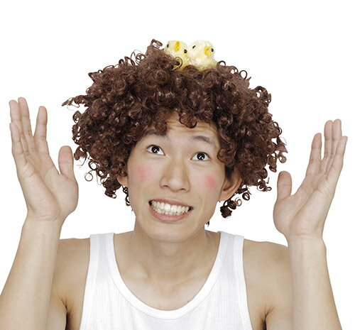 鳥の巣アフロ ハロウィン ハロウィーン 結婚式 余興 二次会 リモート飲み会 お祝い 仮装 変装 宴会 模擬店 文化祭 出店 男女兼用 人気者のサムネイル