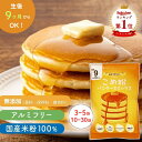 D'sTs 直営店 米粉 ホットケーキミックス パンケーキミックス