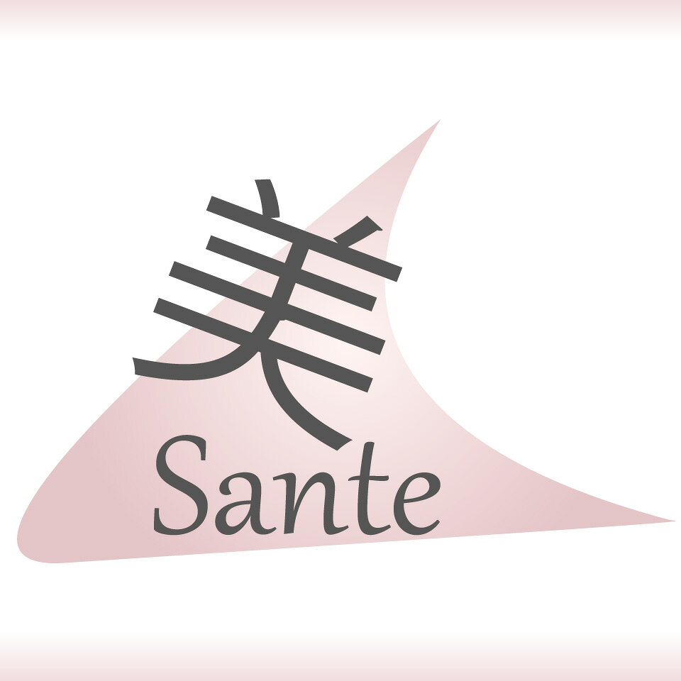 Shop icon
