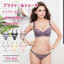 ブラジャー ショーツ セット レース 透け シースルー セクシーブラ&ショーツ 3/4カップ ワイヤーあり 脇肉 寄せ盛り バストアップ 美乳 3段2列ホック