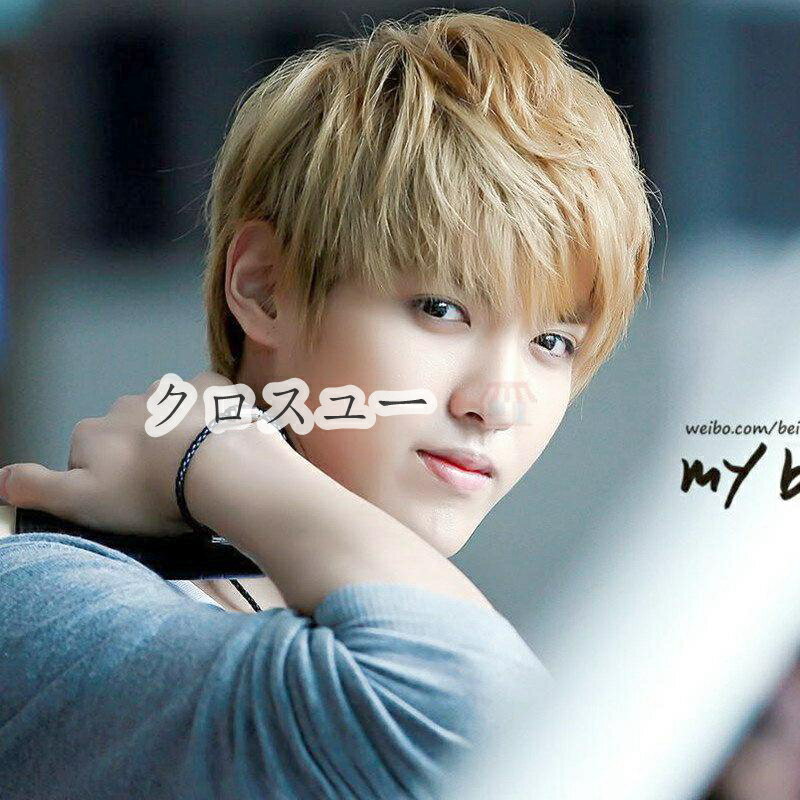 メンズ ウィッグ ショート レディース new コスプレ かつら ストレートヘア 黒 ふわふわ 短い髪 変装 cosplay 日常用 学生 面接 仕事 ネット付...