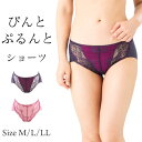 【送料無料】 ぴんとぷるんと ショーツ 日本製 美しいヒップライン 姿勢 補正下着 圧迫感がない ヒップアップ レース パープル ネイビー ピンク ぽっこり 腹 補整下着 インナー パンツ すっぽり お肉 お尻 下腹 はみ出し 防ぐ レディース 補整 補正(4)