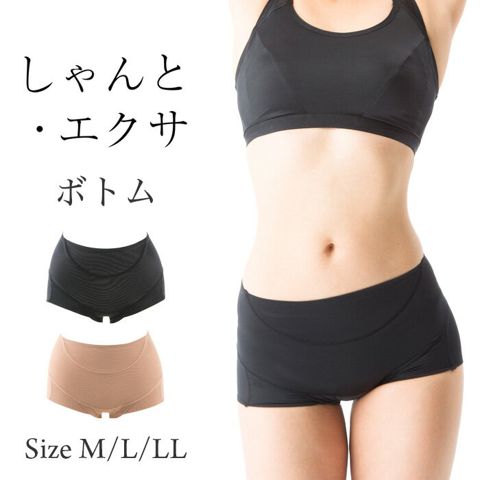 【送料無料】 しゃんと・エクサ ボトム 日本製 姿勢 補正下着 骨盤 ガードル ヒップアップ 仙骨 ジム ローレッグ ぽっこり 補整下着 腹 インナー パンツ ...