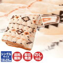 ねむりの森 あったか 敷パッド シングル(100×205cm)【 寝具 パッド 敷きパッド 布団 ゴム付 抗菌 防臭 シングルサイズ アクリル毛布 洗える 箱入...