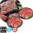 秋川牛 焼肉用【8648-248